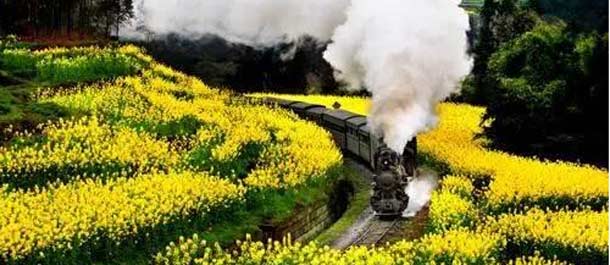 السفر بالقطار والتمتع بالمناظر السحرية على طول الخطوط الحديدية في أنحاء الصين