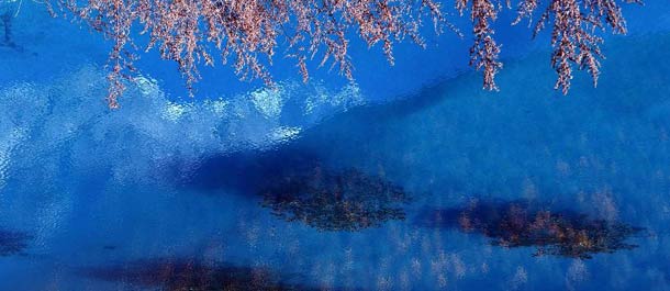 الصين الجميلة: جبل يوي لونغ يشهد موسمها الأجمل