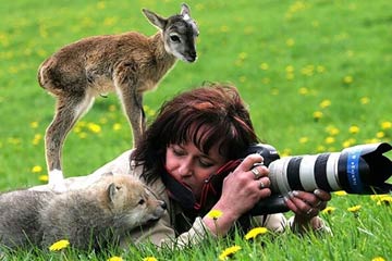 الحيوانات البرية تصاحب المصورين عند عملهم