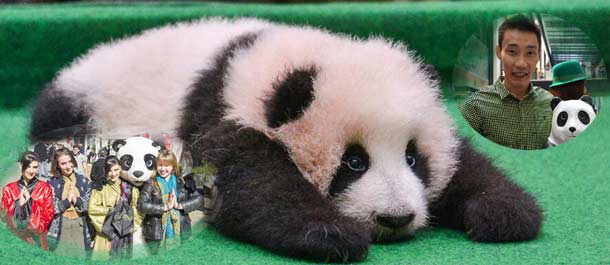 تقرير سنوي: العالم كله يحب دب الباندا الصيني