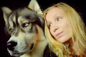 السفر حول العالم مع صديقها الوثيق - كلب هاسكي
