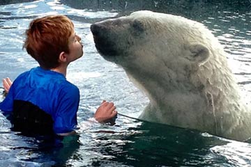 الطفل الكندي يقبّل الدب القطبي