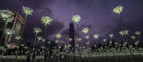 مهرجان "حديقة ورود LED" ينعقد في هونغ كونغ عشية عيد الحب
