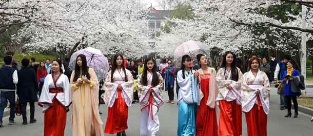 تفتح زهور الكرز يجذب الزيارة في مدينة نانجينغ العريقة