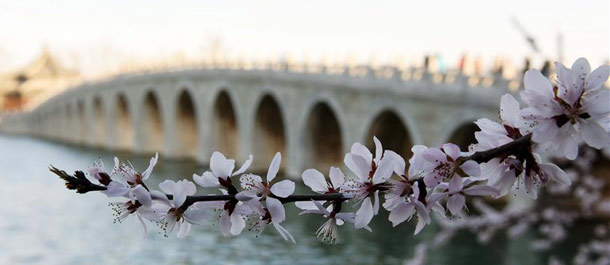 الصين الجميلة: زهور الخوخ تتفتح في القصر الصيفي