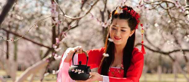 الصين الجميلة: زهور الخوخ تتفتح في هوهيهوت