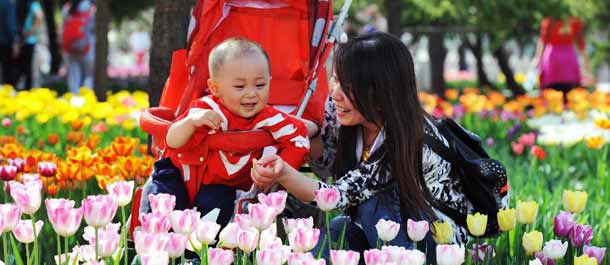 الصين الجميلة:التمتع بزهور التوليب الملونة في شمالي الصين