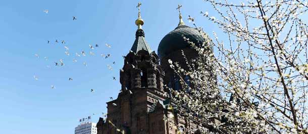 الصين الجميلة: كنيسة صوفيا بشمال شرقي الصين في حضن الربيع