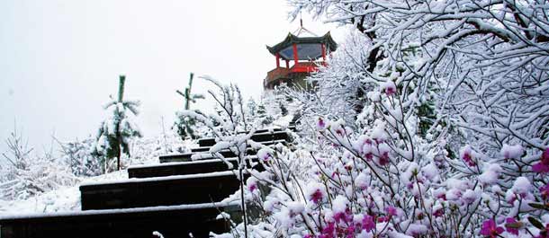 الصين الجميلة: تساقط الثلوج في جبال داشينغآنلينغ في شمالي الصين