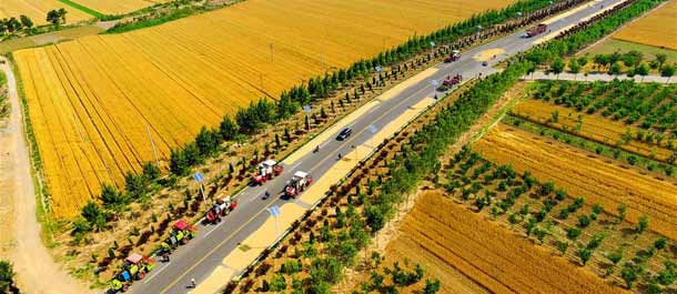 الصين الجميلة: حصاد القمح في شمالي الصين