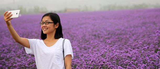 تفتح زهور رعي الحمام في شرقي الصين