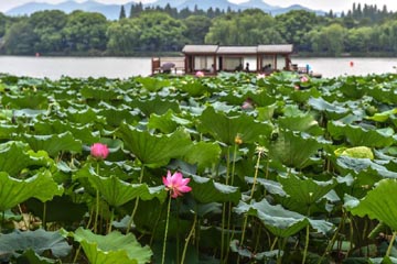 إغلاق البحيرة الغربية في هانغتشو لاستقبال قمة مجموعة العشرين