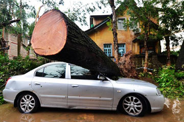 ارتفاع عدد قتلى إعصار ميرانتي إلى 28