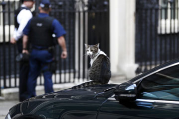 "رئيس صائد الفئران" البريطاني يحرس سيارة رئيسة الوزراء