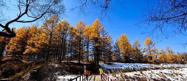 حديقة آرشان الوطنية للغابات شمالي الصين