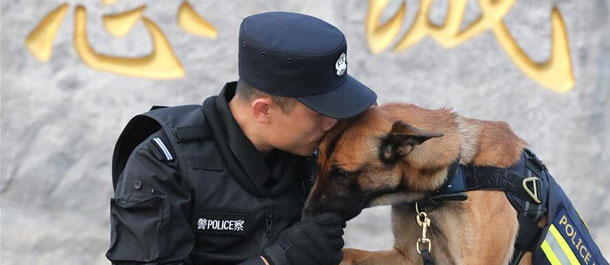 قسم كلاب الشرطة في بكين