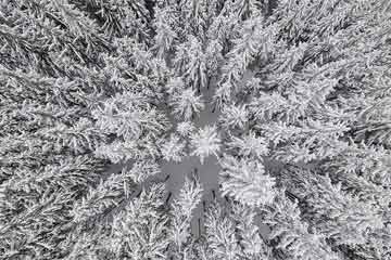 مجموعة صور الثلج لبولندا