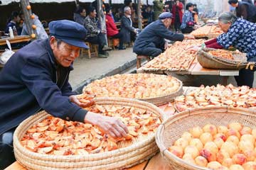 مهرجان ثقافة البرسيمون يقام في مقاطعة شاندونغ بشرقي الصين