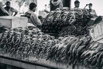 سوق الأسماك في مدينة دبي