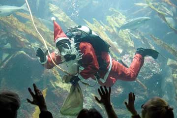 بابا نويل تحت الماء في ألمانيا