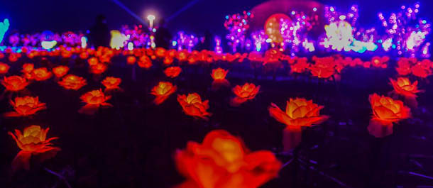 معرض الفوانيس في شرقي الصين لاستقبال السنة الجديدة