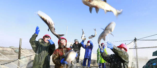 موسم صيد الأسماك الشتوي بشرقي الصين