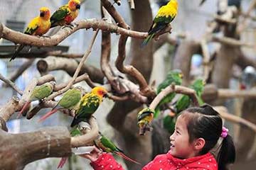 حديقة الطيور في مدينة كونمينغ بمقاطعة يوننان جنوب غرب الصين