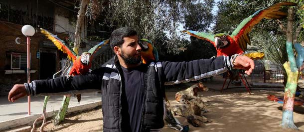أول حديقة حيوان في غزة معرضة للإغلاق لمشاكل اقتصادية