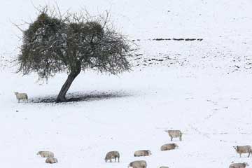 مناظر حقول في شمال فرنسا بعد الثلج