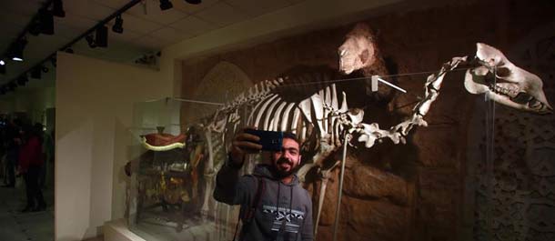 إعادة افتتاح متحف الصيد بالقاهرة بعد 10 سنوات من إغلاقه