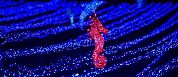 افتتاح مهرجان المصابيح الملونة بمناسبة عيد الفوانيس في تشونغتشينغ الصينية