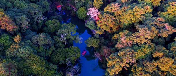 مشاهد جوية مع حلول الربيع في حديقة الغابات بجنوب شرقي الصين