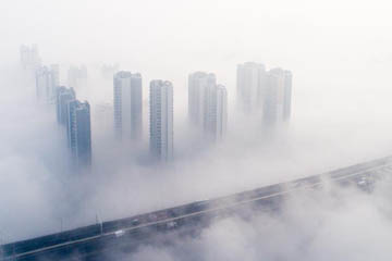 ضباب كثيف يغطي مدينة ووهان بوسط الصين