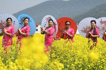 معرض أزياء تشيباو في حقول الزهور