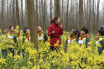 فصل دراسي في غابة بشرقي الصين