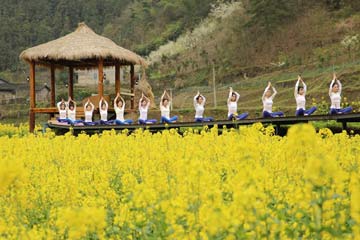 ممارسة اليوغا الجمعية في حقول الزهور بمقاطعة هونان