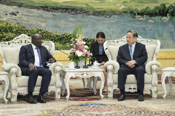 كبير المستشارين الصينيين يلتقي نائب الرئيس الغاني