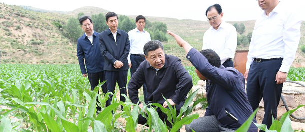 الرئيس الصيني يؤكد على أهمية الإصلاح والتنمية والاستقرار خلال جولة تفقدية