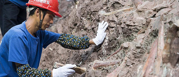 اكتشاف موقع كبير لأحافير الديناصورات في جنوب غربي الصين