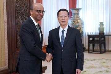 الصين وسنغافورة تتعهدان بتعزيز العلاقات