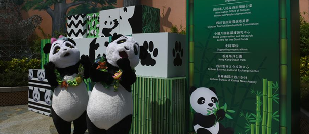 معرض ثقافة الباندا العملاقة في هونغ كونغ