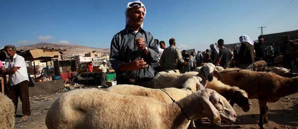 استعدادات لاستقبال عيد الأضحى في الضفة الغربية