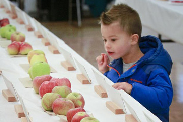 مهرجان التفاح الـ 26 المقام في الحديقة النباتية لجامعة كولومبيا البريطانية في فانكوفر بكندا