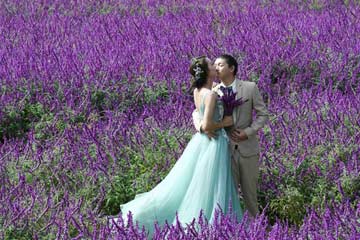 تصوير صور الزفاف في بلدية الحب الرومانسية بمدينة تشيويجينغ بمقاطعة يوننان