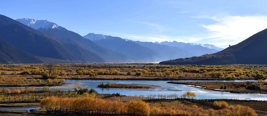 منطقة استوائية في التبت تستقبل حوالي 5 ملايين زائر في فترة يناير - نوفمبر 2017