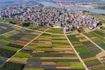 الحقول الجميلة في مقاطعة قوانغشي الصينية