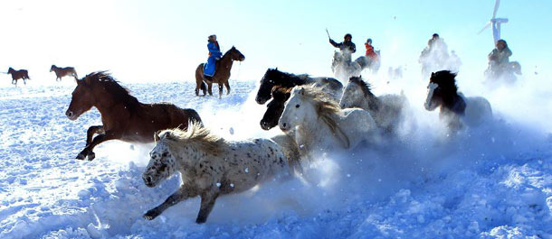 تدريب الخيول في مروج مغطاة بالثلوج في شمالي الصين