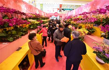 معرض الأزهار يقام في هونج كونج لاستقبال عيد الربيع
