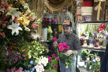 الاحتفال بعيد الحب في طهران