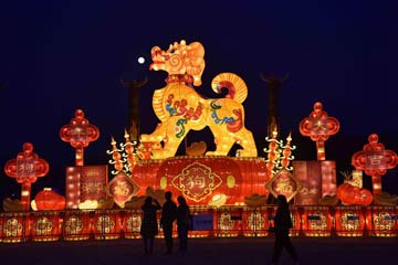 الزوار يتمتعون بالمصابيح الجميلة للاحتفال بعيد الفوانيس الصيني